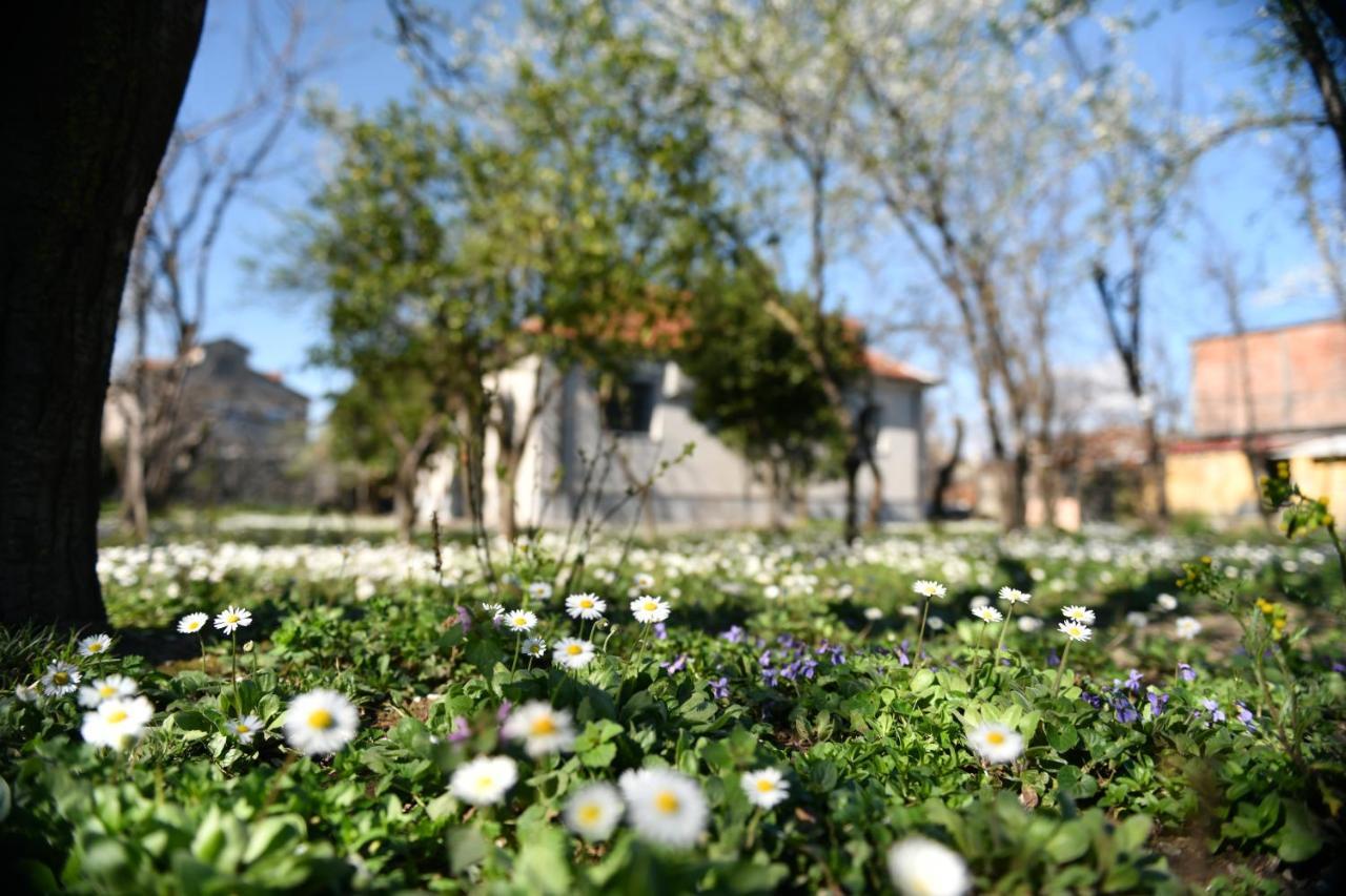 Nicolaus Hidden Gem Villa Shkoder Exterior photo