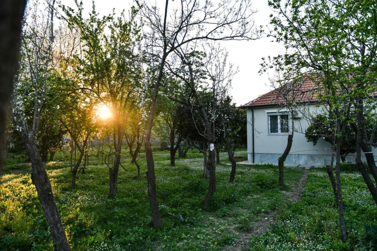 Nicolaus Hidden Gem Villa Shkoder Exterior photo
