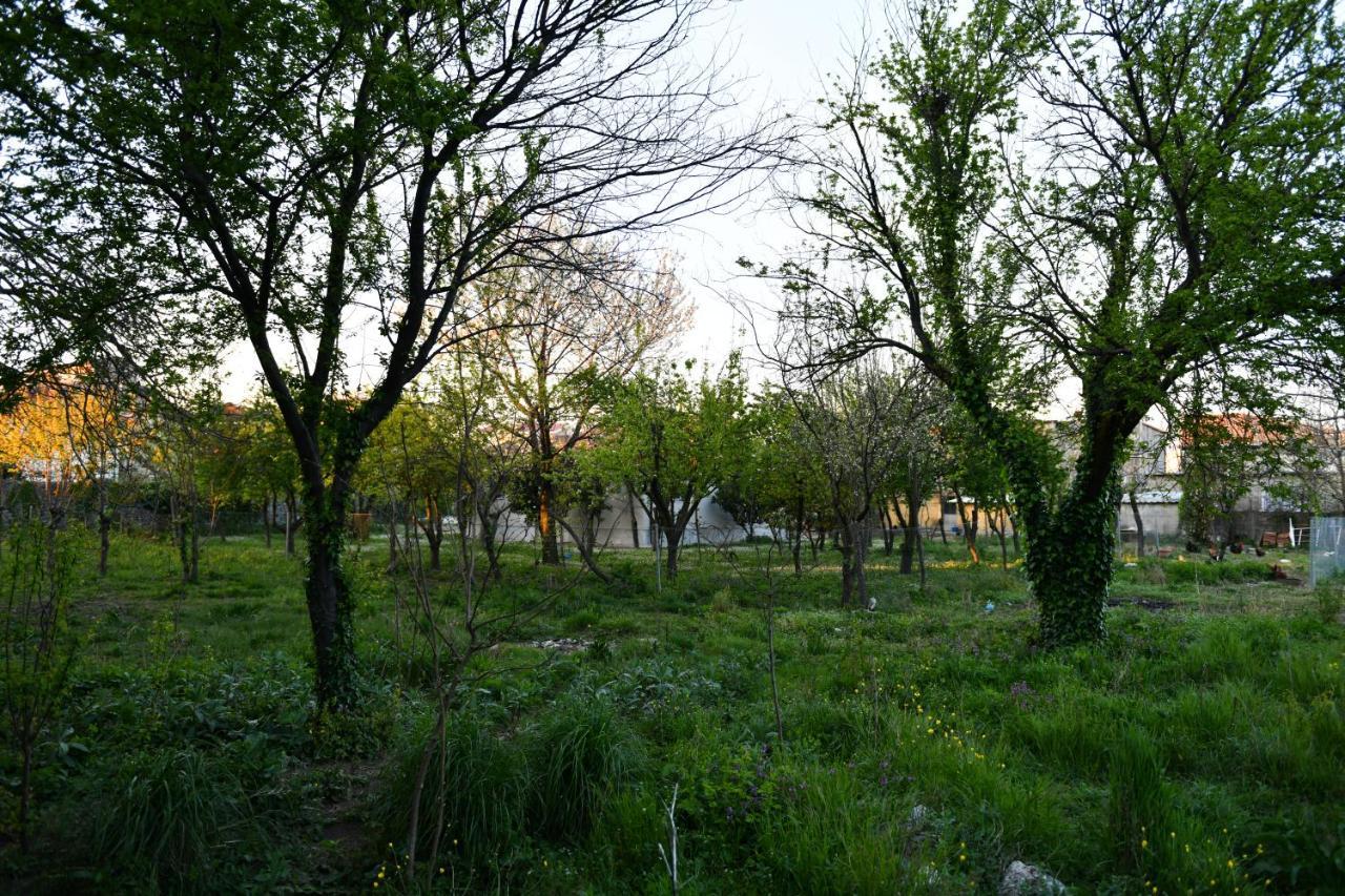 Nicolaus Hidden Gem Villa Shkoder Exterior photo
