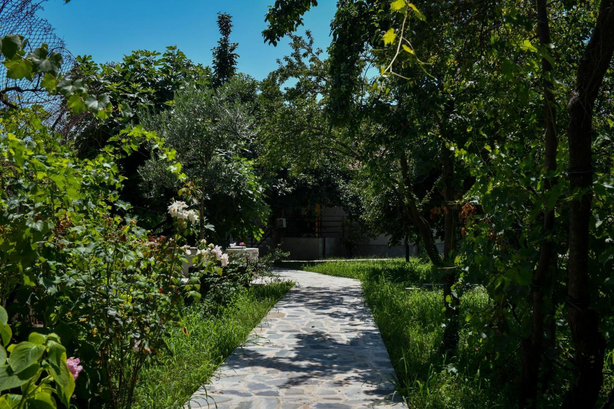 Nicolaus Hidden Gem Villa Shkoder Exterior photo