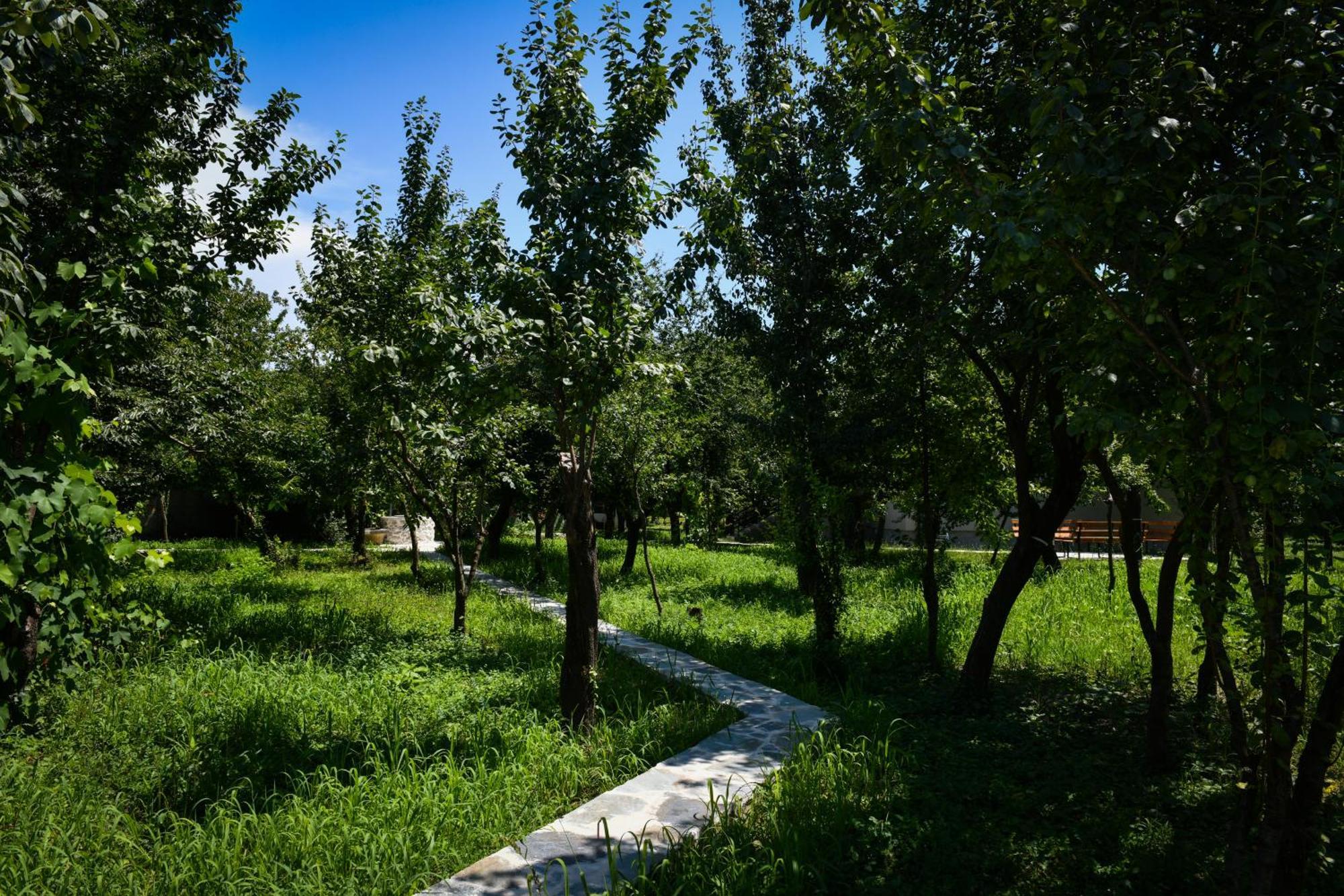 Nicolaus Hidden Gem Villa Shkoder Exterior photo