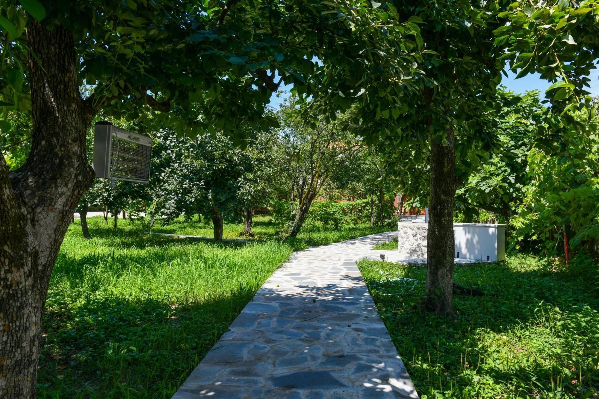 Nicolaus Hidden Gem Villa Shkoder Exterior photo